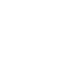 holistic-health