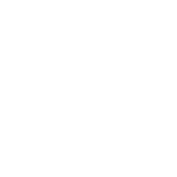 Dual Diagnosis